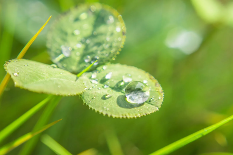 68f6387a488ea1fb9510544b_100 natürlich-p-1600